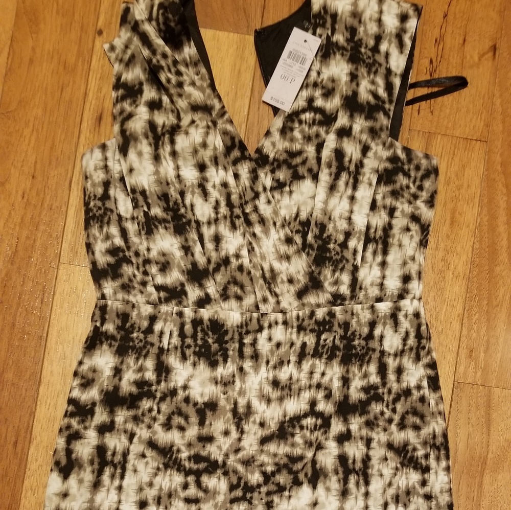 Ann Taylor dress